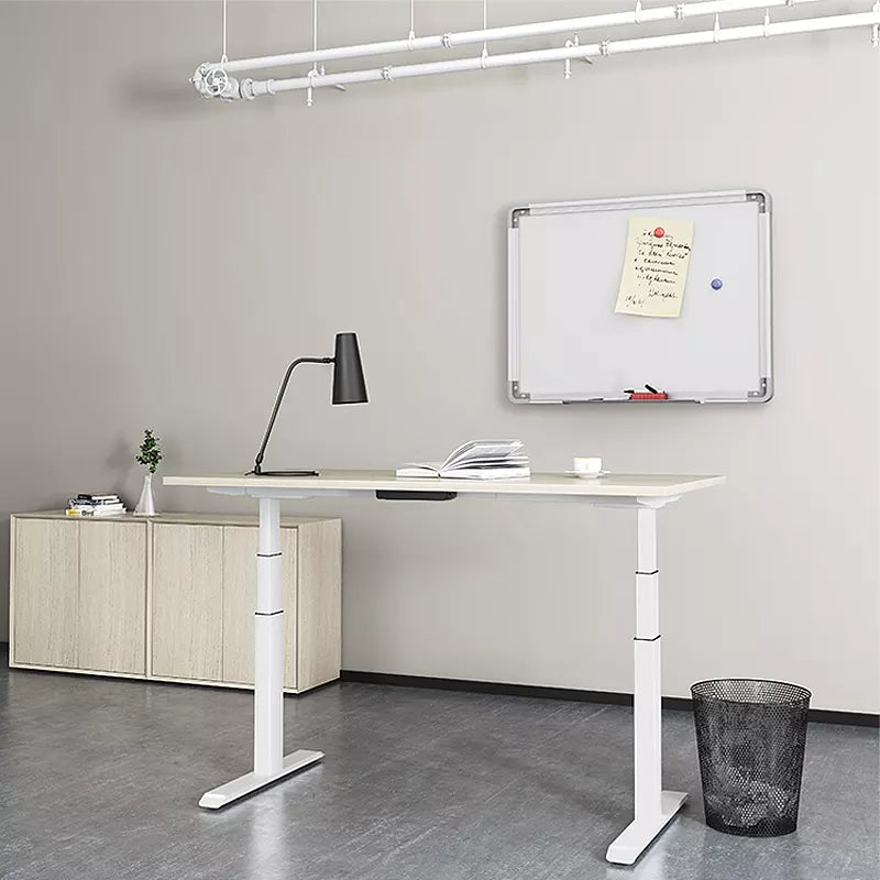 Moov Electric Height Adjustable Desk